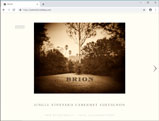 BRION Website