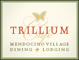 Branding for Trillium Cafe & Inn